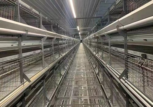 相關產品圖